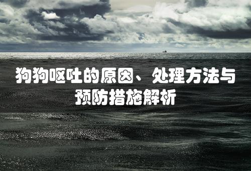 狗狗呕吐的原因、处理方法与预防措施解析