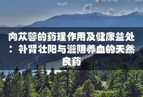 肉苁蓉的药理作用及健康益处：补肾壮阳与滋阴养血的天然良药