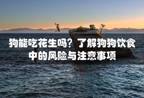 狗能吃花生吗？了解狗狗饮食中的风险与注意事项