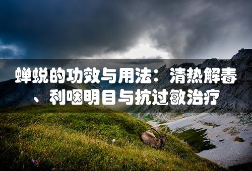 蝉蜕的功效与用法：清热解毒、利咽明目与抗过敏治疗