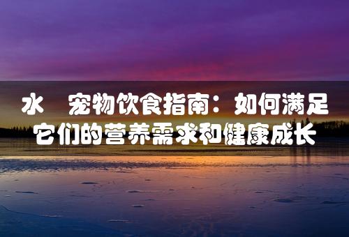 水獺宠物饮食指南：如何满足它们的营养需求和健康成长