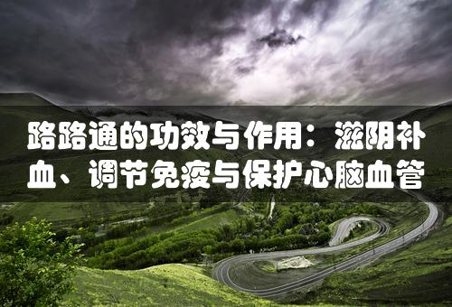 路路通的功效与作用：滋阴补血、调节免疫与保护心脑血管