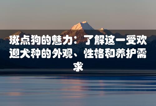 斑点狗的魅力：了解这一受欢迎犬种的外观、性格和养护需求