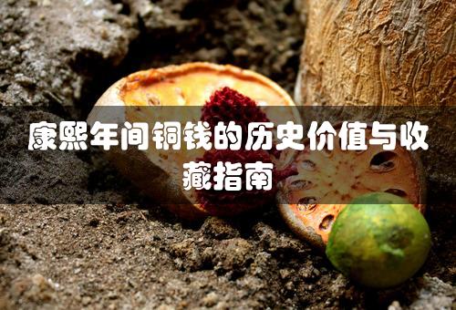 康熙年间铜钱的历史价值与收藏指南