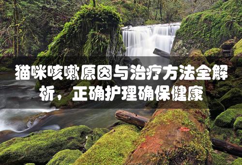 猫咪咳嗽原因与治疗方法全解析，正确护理确保健康