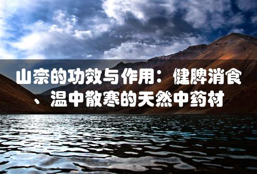 山奈的功效与作用：健脾消食、温中散寒的天然中药材