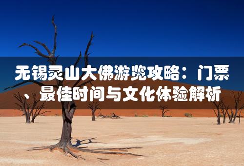 无锡灵山大佛游览攻略：门票、最佳时间与文化体验解析