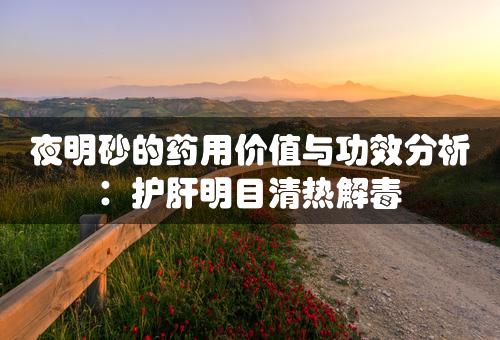 夜明砂的药用价值与功效分析：护肝明目清热解毒