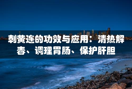 刺黄连的功效与应用：清热解毒、调理胃肠、保护肝胆