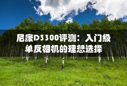 尼康D3300评测：入门级单反相机的理想选择