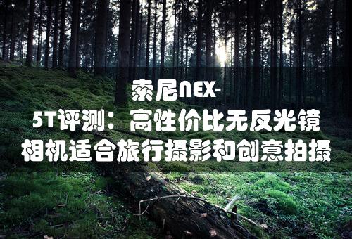 索尼NEX-5T评测：高性价比无反光镜相机适合旅行摄影和创意拍摄