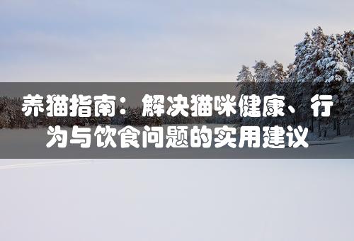 养猫指南：解决猫咪健康、行为与饮食问题的实用建议