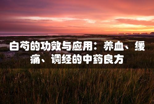 白芍的功效与应用：养血、缓痛、调经的中药良方