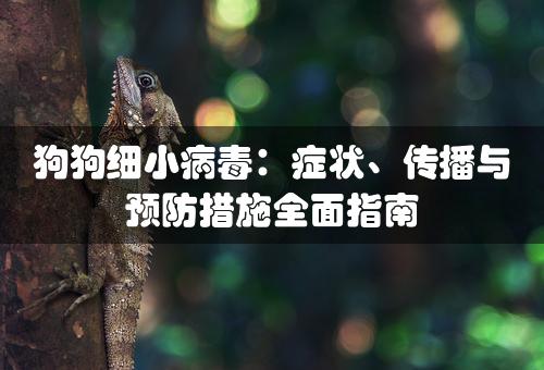 狗狗细小病毒：症状、传播与预防措施全面指南