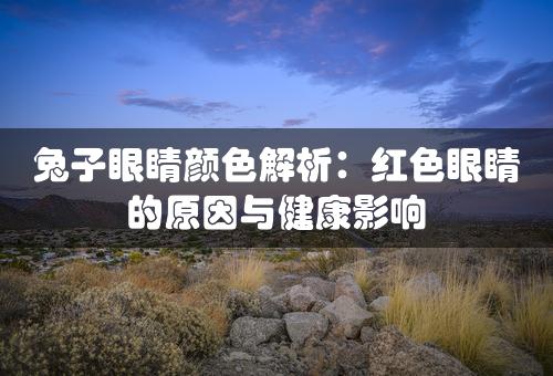 兔子眼睛颜色解析：红色眼睛的原因与健康影响