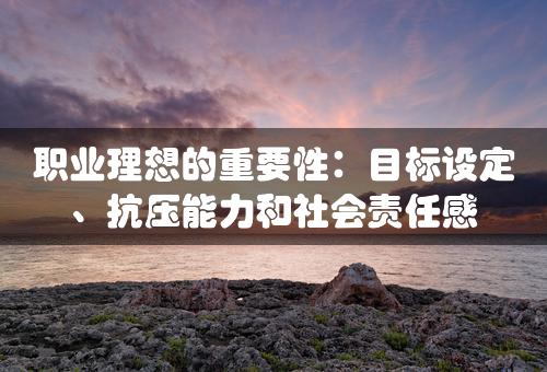 职业理想的重要性：目标设定、抗压能力和社会责任感