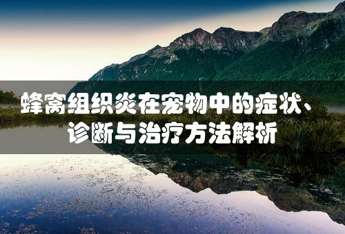 蜂窝组织炎在宠物中的症状、诊断与治疗方法解析