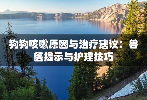 狗狗咳嗽原因与治疗建议：兽医提示与护理技巧