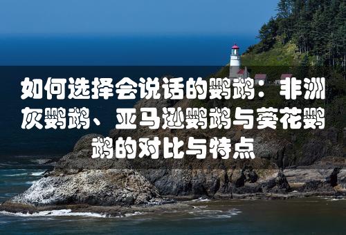 如何选择会说话的鹦鹉：非洲灰鹦鹉、亚马逊鹦鹉与葵花鹦鹉的对比与特点