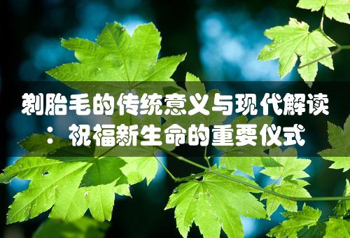 剃胎毛的传统意义与现代解读：祝福新生命的重要仪式