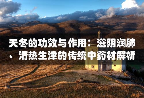 天冬的功效与作用：滋阴润肺、清热生津的传统中药材解析