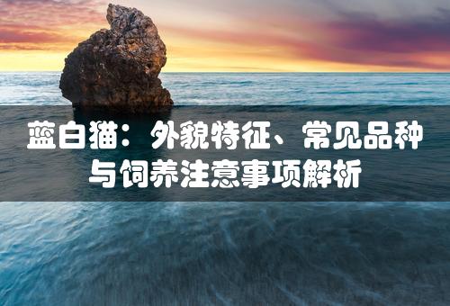 蓝白猫：外貌特征、常见品种与饲养注意事项解析