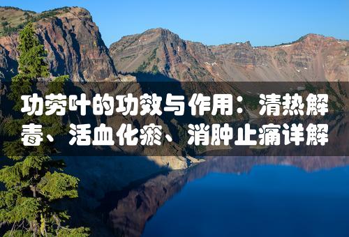 功劳叶的功效与作用：清热解毒、活血化瘀、消肿止痛详解