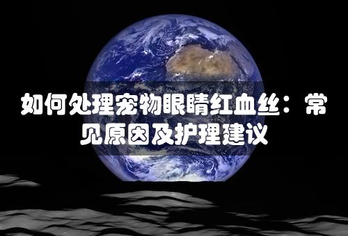 如何处理宠物眼睛红血丝：常见原因及护理建议