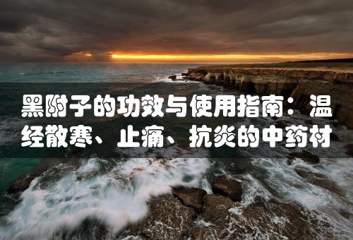 黑附子的功效与使用指南：温经散寒、止痛、抗炎的中药材