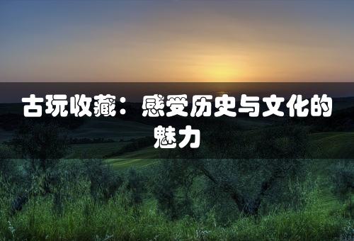 古玩收藏：感受历史与文化的魅力

