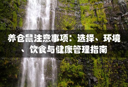 养仓鼠注意事项：选择、环境、饮食与健康管理指南