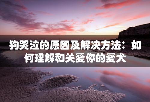 狗哭泣的原因及解决方法：如何理解和关爱你的爱犬