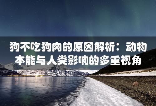 狗不吃狗肉的原因解析：动物本能与人类影响的多重视角