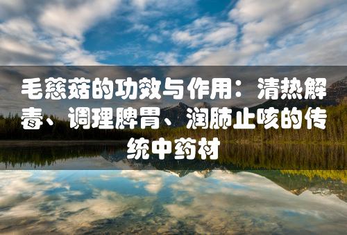 毛慈菇的功效与作用：清热解毒、调理脾胃、润肺止咳的传统中药材