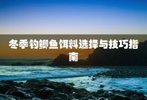 冬季钓鲫鱼饵料选择与技巧指南