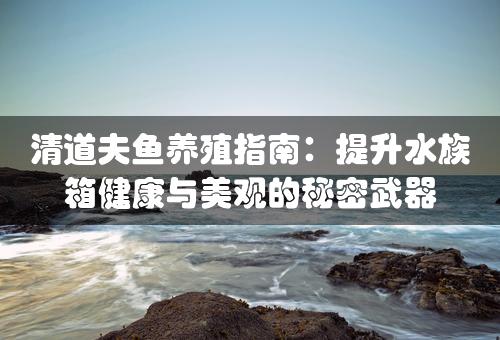 清道夫鱼养殖指南：提升水族箱健康与美观的秘密武器