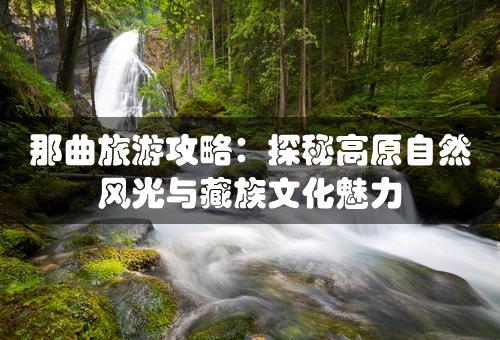 那曲旅游攻略：探秘高原自然风光与藏族文化魅力