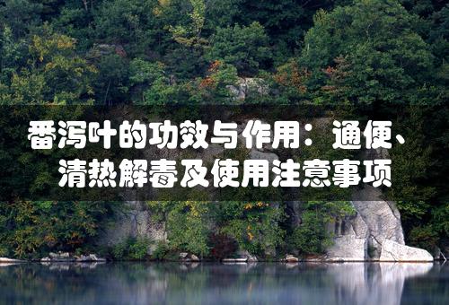 番泻叶的功效与作用：通便、清热解毒及使用注意事项