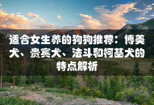 适合女生养的狗狗推荐：博美犬、贵宾犬、法斗和柯基犬的特点解析