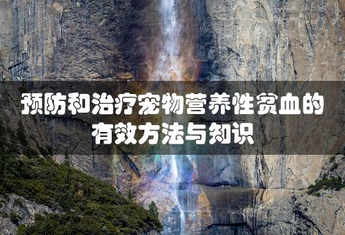 预防和治疗宠物营养性贫血的有效方法与知识