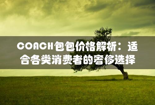 COACH包包价格解析：适合各类消费者的奢侈选择