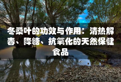 冬桑叶的功效与作用：清热解毒、降糖、抗氧化的天然保健食品