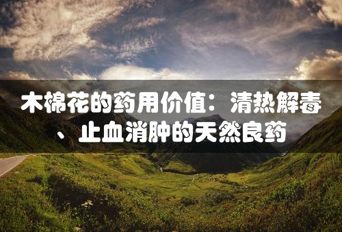 木棉花的药用价值：清热解毒、止血消肿的天然良药