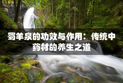 蜀羊泉的功效与作用：传统中药材的养生之道