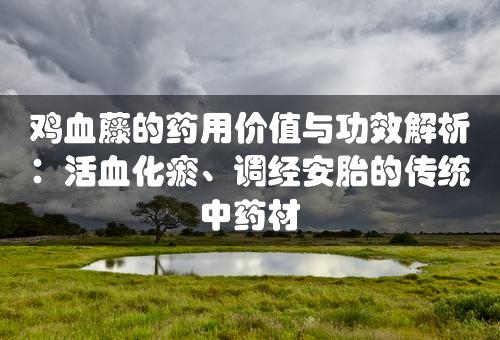 鸡血藤的药用价值与功效解析：活血化瘀、调经安胎的传统中药材