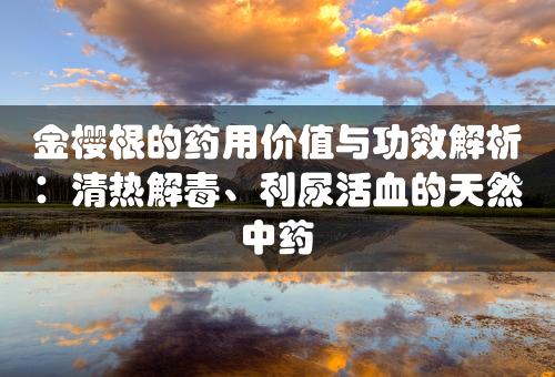 金樱根的药用价值与功效解析：清热解毒、利尿活血的天然中药