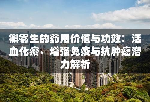 槲寄生的药用价值与功效：活血化瘀、增强免疫与抗肿瘤潜力解析