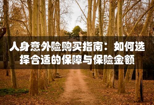 人身意外险购买指南：如何选择合适的保障与保险金额