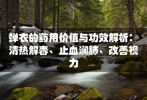 蝉衣的药用价值与功效解析：清热解毒、止血润肺、改善视力