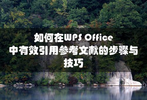 如何在WPS Office中有效引用参考文献的步骤与技巧